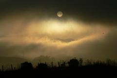 1021631_Morro-Bay-Sunrise_620